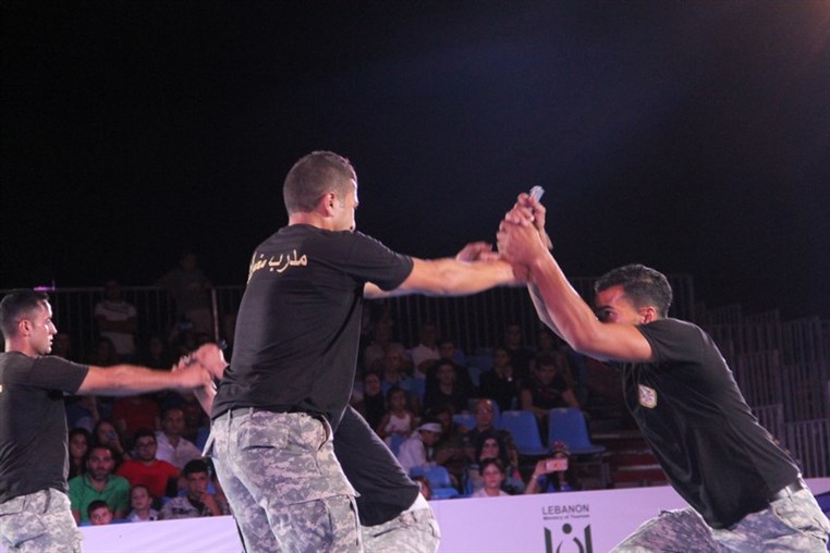 Martial Arts Festival